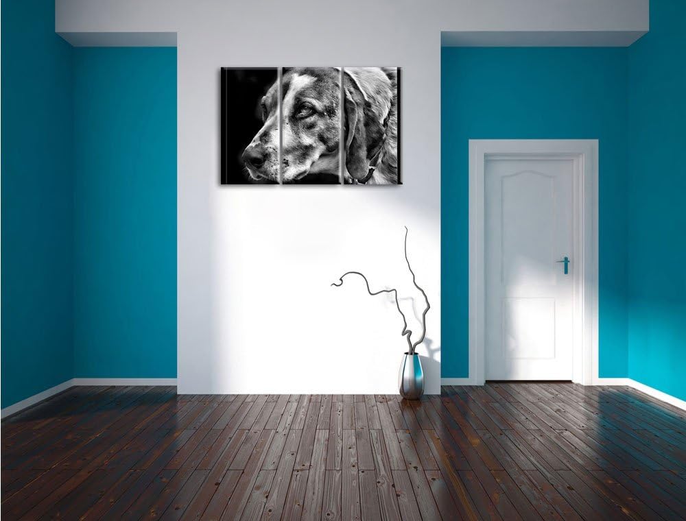 Pixxprint hübscher Hund im Seitenprofil als Leinwandbild/Grösse: 3 Teilig (120x80) / Wandbild/Kunstd