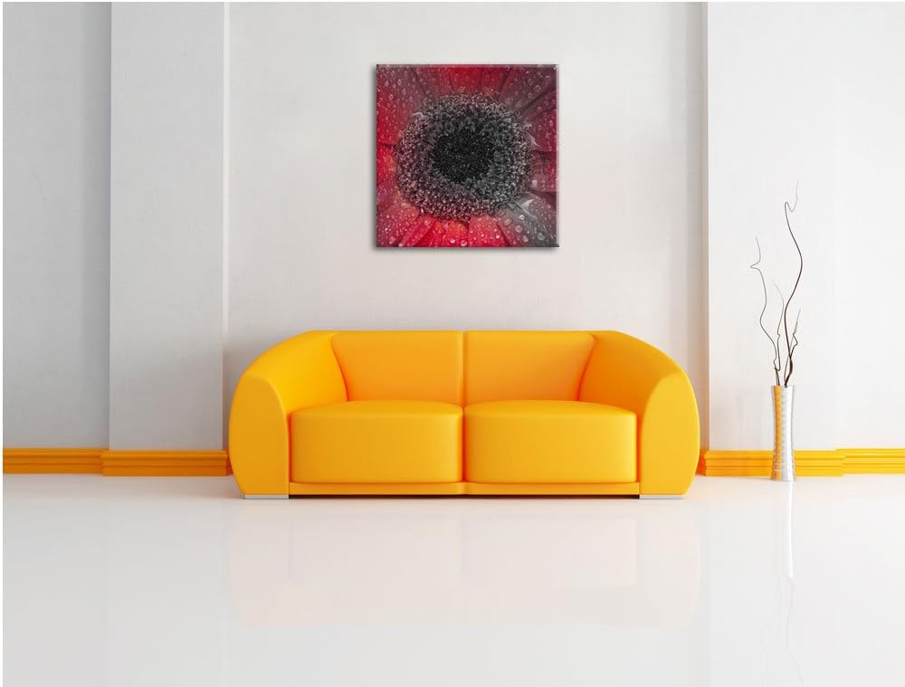Pixxprint Rote Gerbera mit Wassertropfen als Leinwandbild/Grösse: 70x70 cm/Wandbild/Kunstdruck/ferti