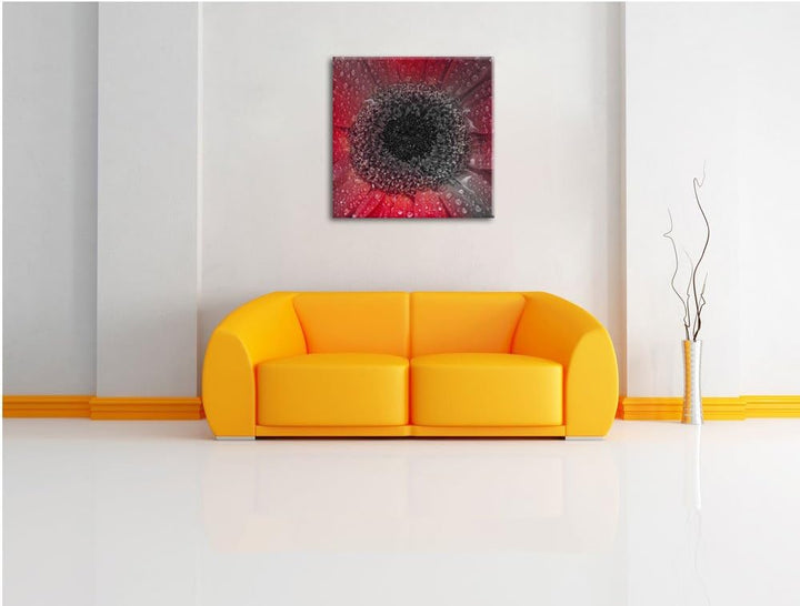 Pixxprint Rote Gerbera mit Wassertropfen als Leinwandbild/Grösse: 70x70 cm/Wandbild/Kunstdruck/ferti