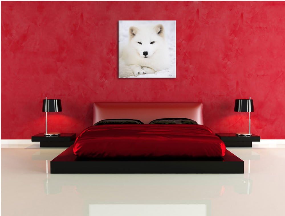 Pixxprint Weisser Fuchs, Format: 70x70 auf Leinwand, XXL riesige Bilder fertig gerahmt mit Keilrahme