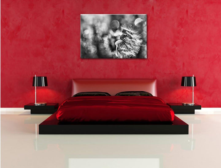 Pixxprint Marienkäfer auf Pusteblume als Leinwandbild/Grösse: 100x70 cm/Wandbild/Kunstdruck/fertig b