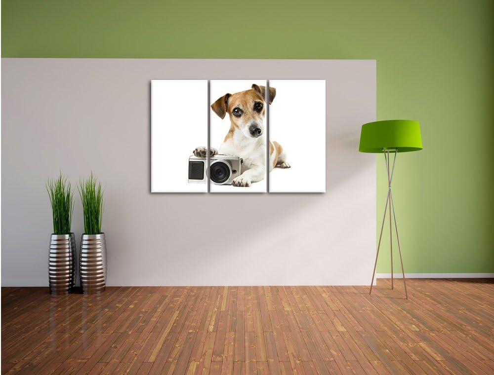 Pixxprint Niedlicher Hundewelpe mit Kamera 3-Teiler Leinwandbild 120x80 Bild auf Leinwand, riesige B