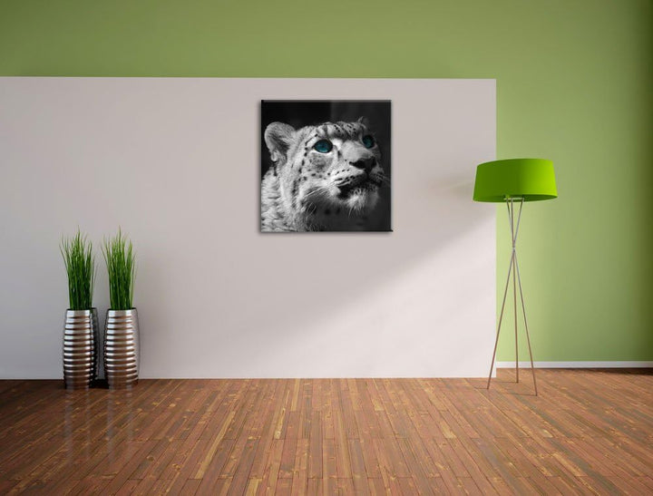 Pixxprint Schneeleopard Augen als Leinwandbild Quadratisch/Grösse: 70x70 / Wandbild/Kunstdruck/ferti