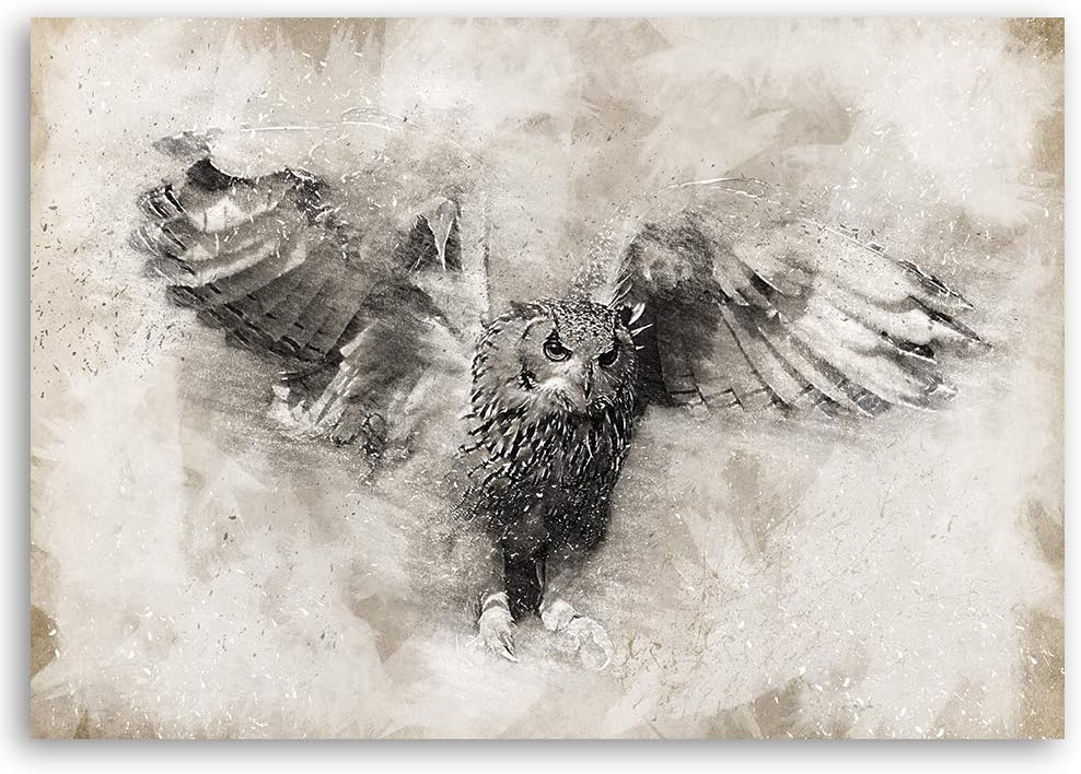 Leinwandbild XXL Eule Wandbild Kunst Vogel Beige 120x80 cm M14234 120x80 cm, M14234 120x80 cm