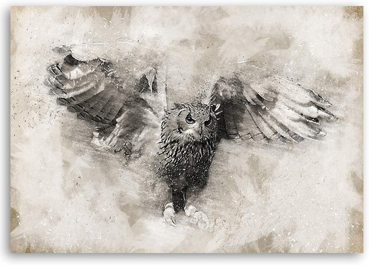 Leinwandbild XXL Eule Wandbild Kunst Vogel Beige 120x80 cm M14234 120x80 cm, M14234 120x80 cm