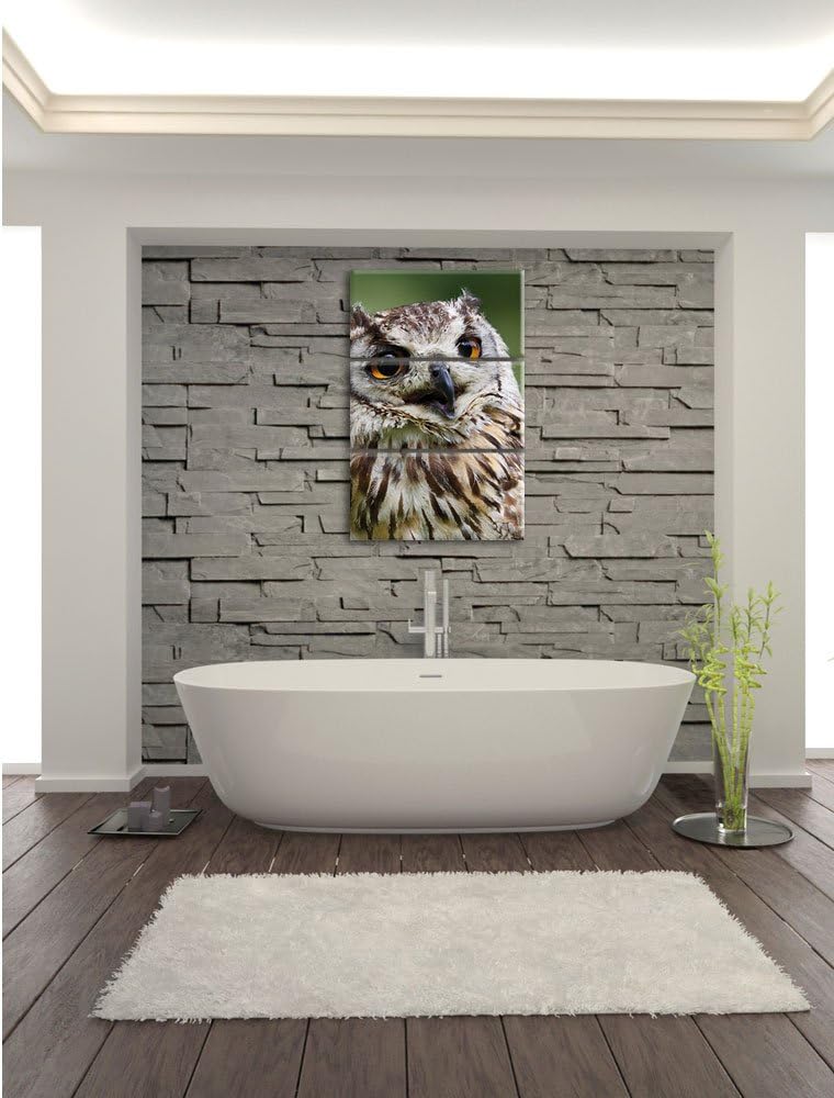 Pixxprint sehr müde Waldeule 3-Teiler Leinwandbild 120x80 Bild auf Leinwand