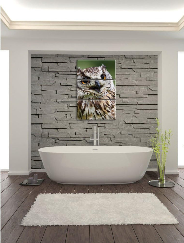 Pixxprint sehr müde Waldeule 3-Teiler Leinwandbild 120x80 Bild auf Leinwand