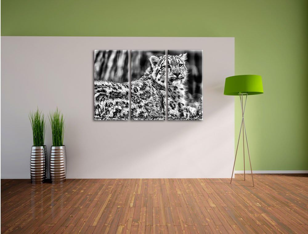 Pixxprint Monocrome, anmutiger Schneeleopard 3-Teiler Leinwandbild 120x80 Bild auf Leinwand