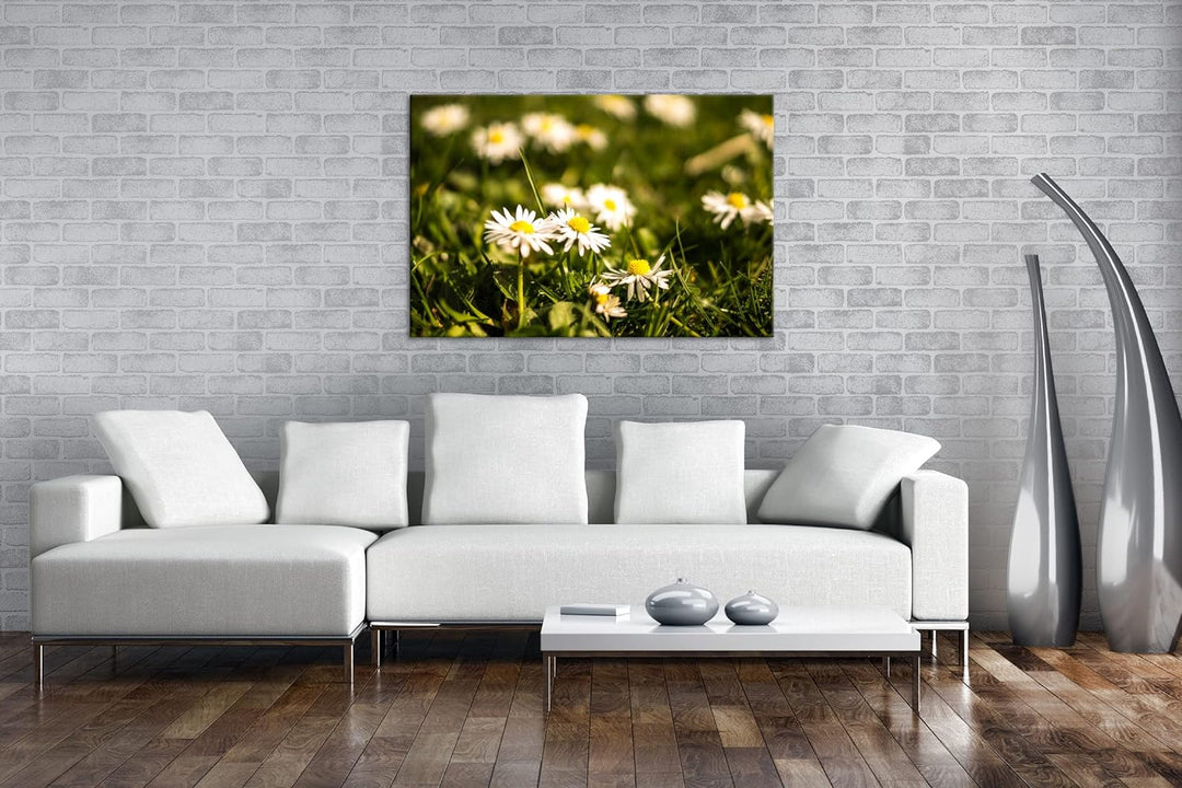 deyoli Gänseblümchen auf schöner Wiese im Format: 60x40 als Leinwandbild, Motiv fertig gerahmt auf E