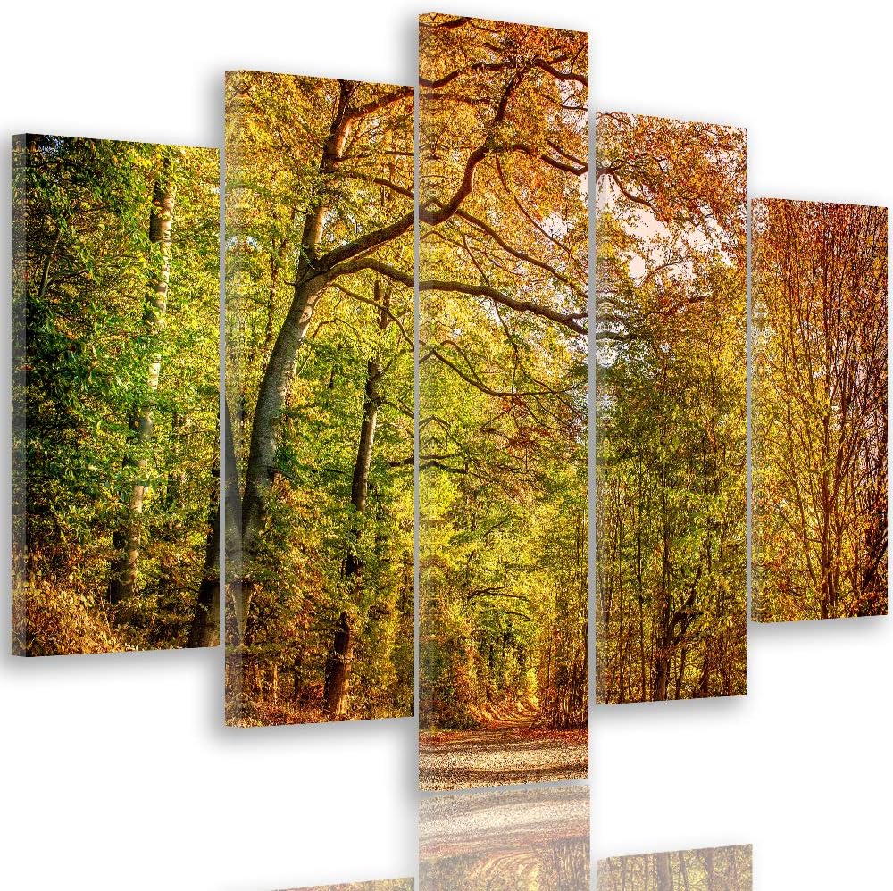 Leinwandbild Herbst 5 TLG Bild Kunstdruck Landschaft Natur Wald bunt 100x70 cm Leinwandbild 100x70 c