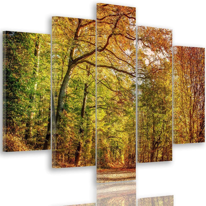 Leinwandbild Herbst 5 TLG Bild Kunstdruck Landschaft Natur Wald bunt 100x70 cm Leinwandbild 100x70 c