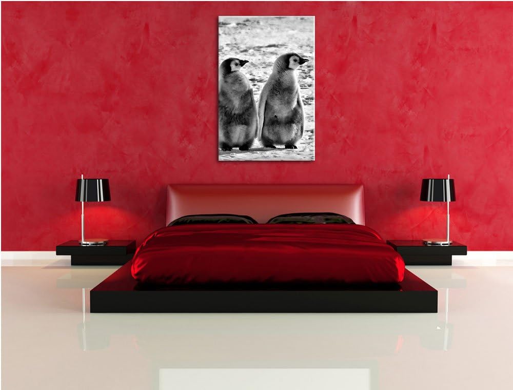 Pixxprint Kaiserpinguin-Küken/Format: 100x70cm / Leinwandbild fertig bespannt Wandbild Kunstdruck, 1