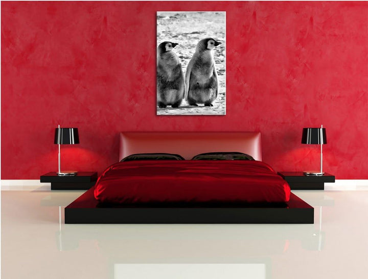 Pixxprint Kaiserpinguin-Küken/Format: 100x70cm / Leinwandbild fertig bespannt Wandbild Kunstdruck, 1