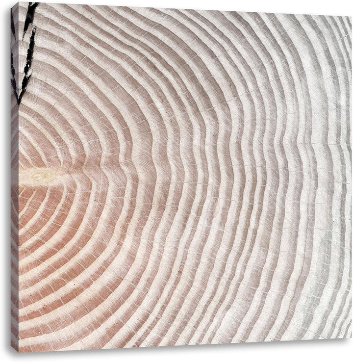 Pixxprint Baumstamm Jahresringe als Leinwandbild | Grösse: 70x70 cm | Wandbild | Kunstdruck | fertig