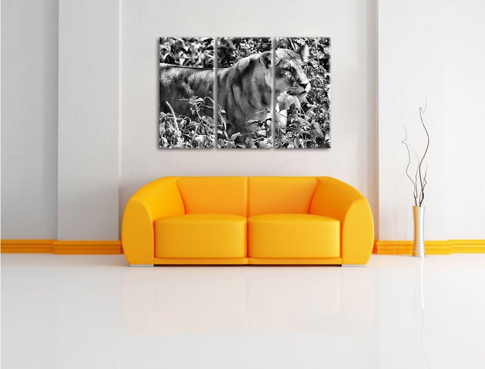 Pixxprint Monocrome, wachsame Löwin 3-Teiler Leinwandbild 120x80 Bild auf Leinwand