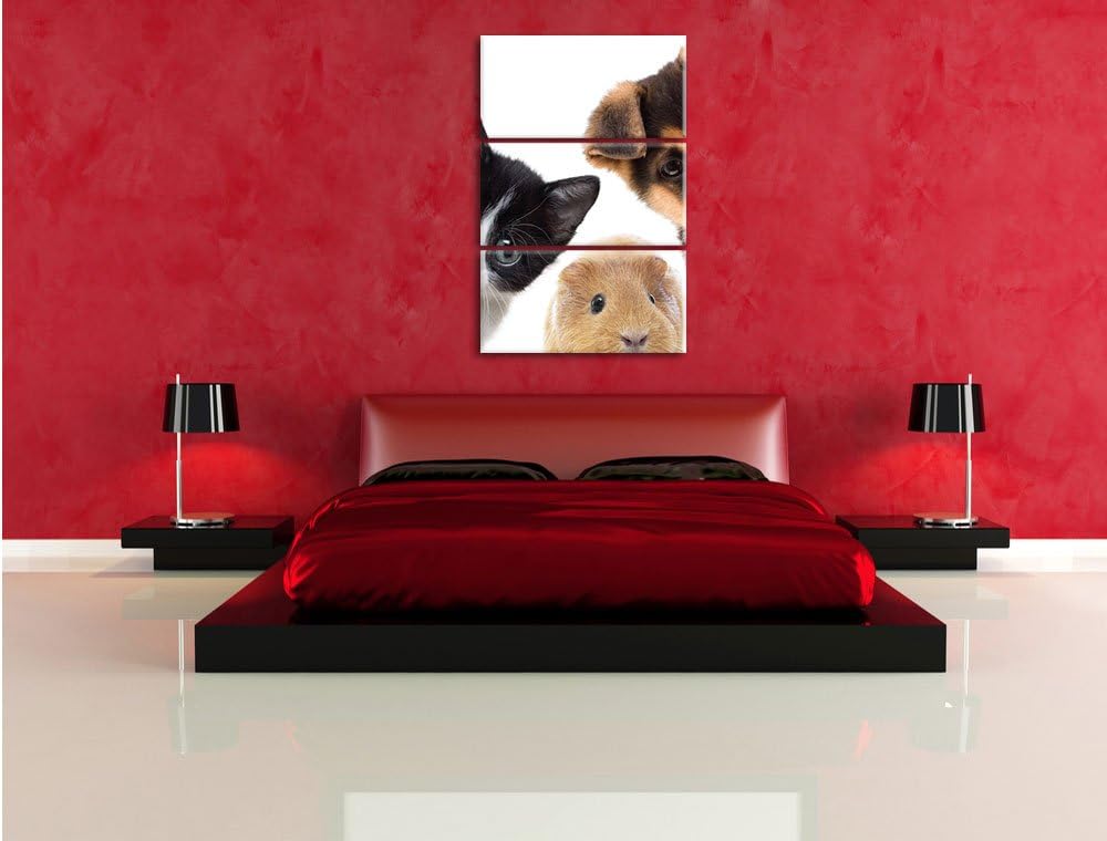 Pixxprint Trio Hund Katze Meerschwein / 3-Teilig/Gesamtmass 120cm Leinwandbild bespannt auf Holzrahm