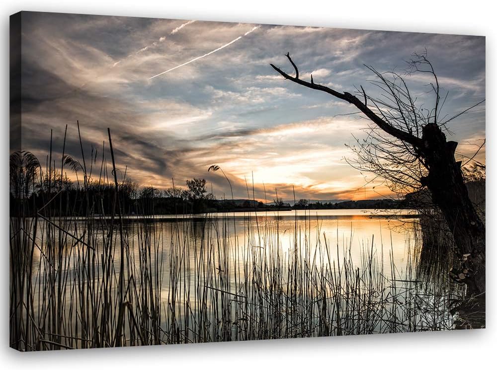 Febby Vlies Leinwandbild XXL Bäume Himmel Wolken 80x60 cm Wandbild Kunst Bilder Schlafzimmer Deko Wo