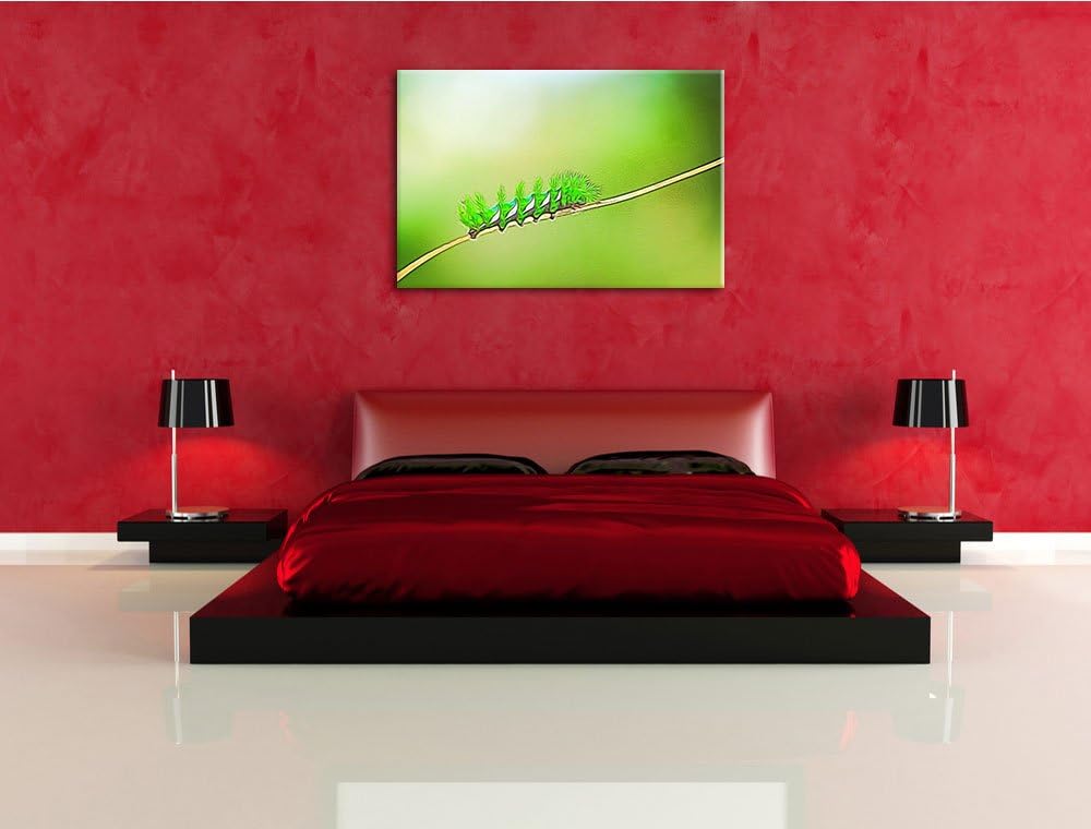 seltene grüne Raupe Deluxe Format: 100x70 cm auf Leinwand, XXL riesige Bilder fertig gerahmt mit Kei