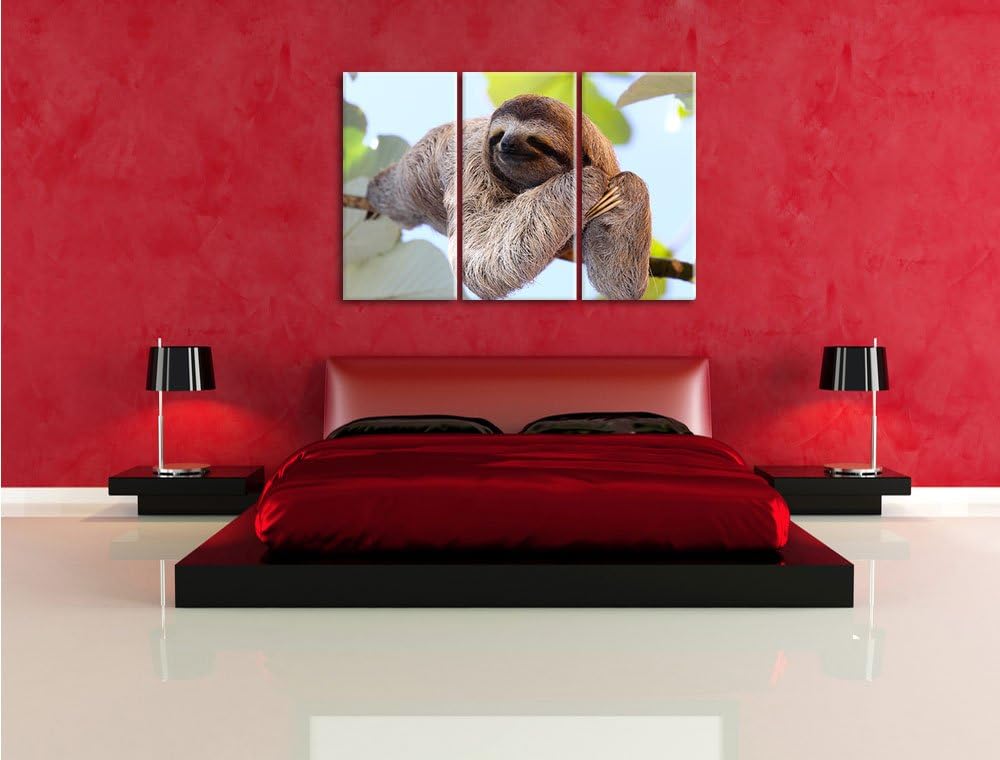 Pixxprint schönes Faultier hängt von AST als Leinwandbild/Grösse: 3Teilig (120x80) / Wandbild/Kunstd