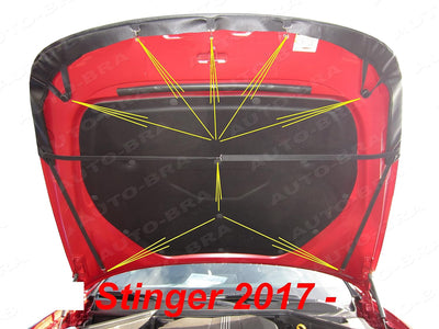 Auto-Bra AB3-00451 kompatibel mit KIA Stinger Bj. ab 2017 Haubenbra Steinschlagschutz Tuning Bonnet