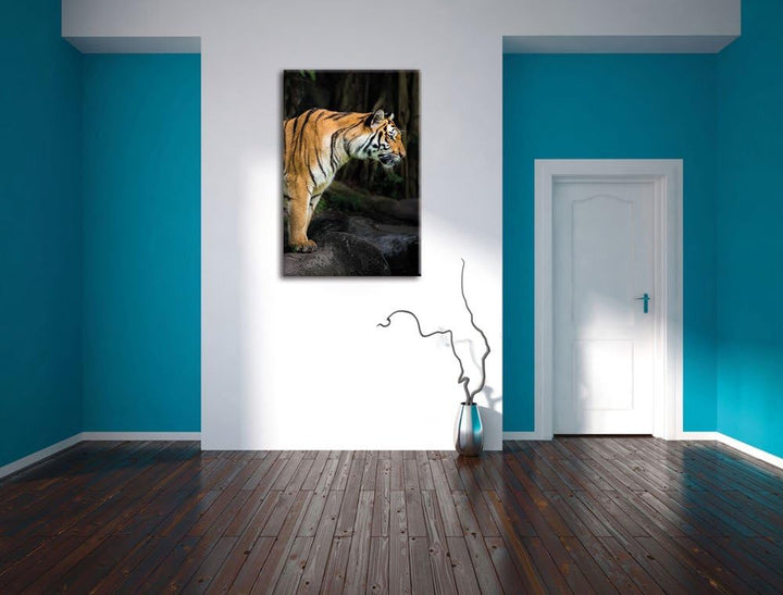 Pixxprint Tiger, Format: 100x70 auf Leinwand, XXL riesige Bilder fertig gerahmt mit Keilrahmen, Kuns
