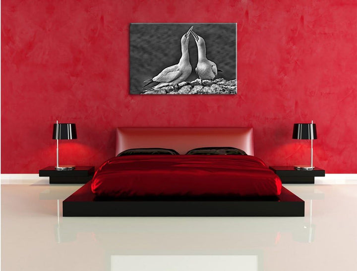 Pixxprint Monocrome, aussergewöhnliche Vögel am Meer, Format: 100x70 auf Leinwand, riesige Bilder fe