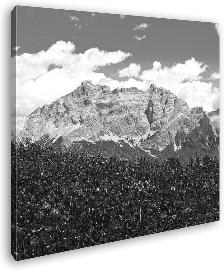 Blumenwiese in den Alpen Format: 70x70 Effekt: Schwarz&Weiss als Leinwandbild, Motiv fertig gerahmt
