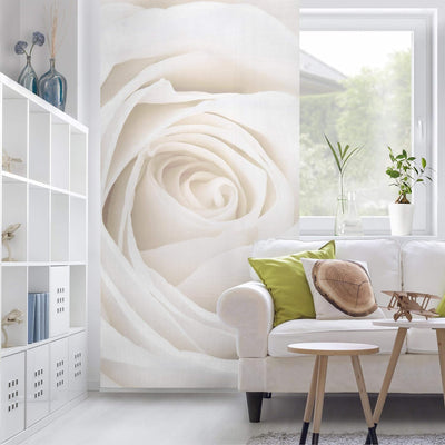 Bilderwelten Rosenbild Raumteiler White Rose Blumen Raumtrenner 250x120cm ohne Halterung 250x120cm w