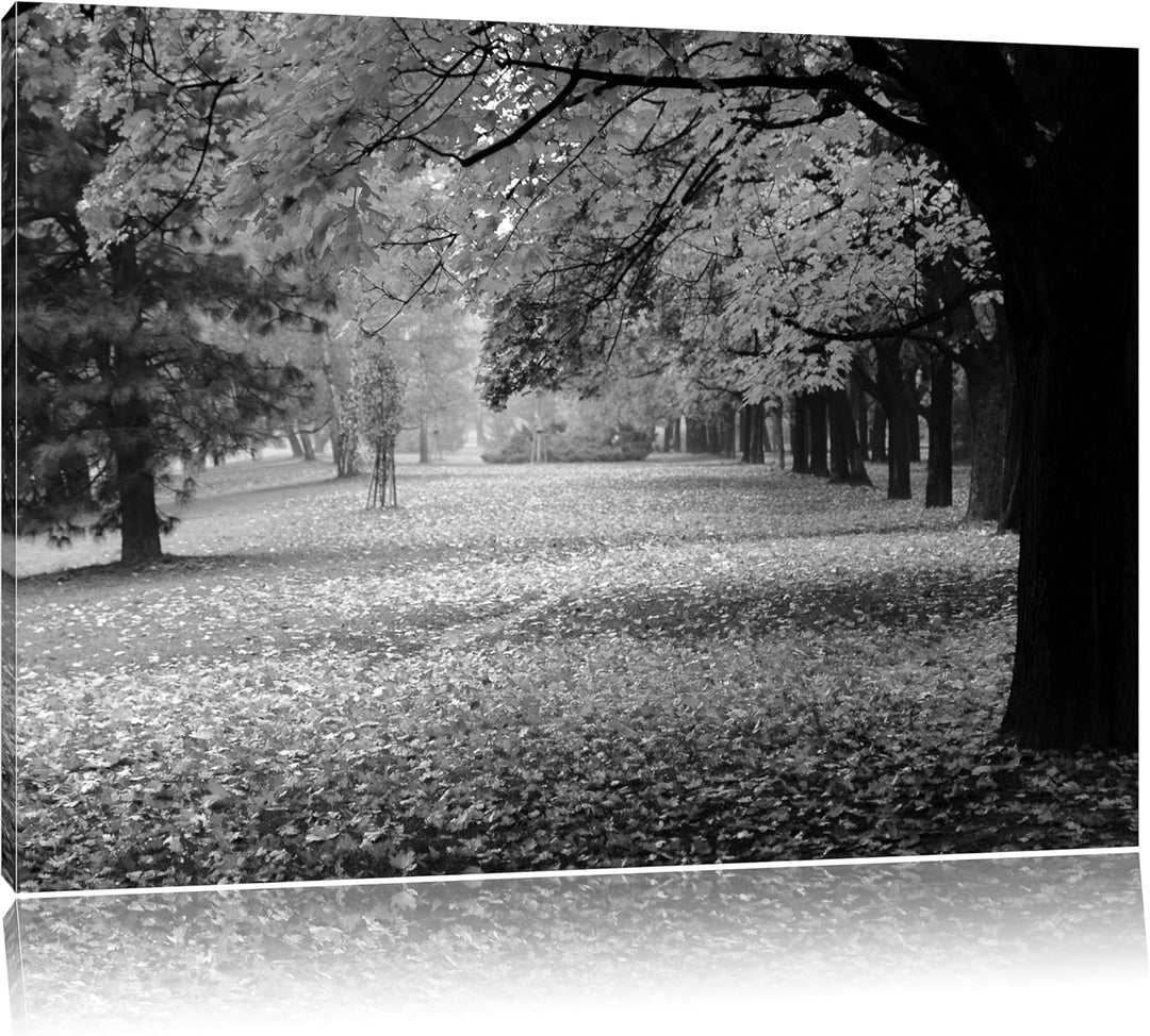 schöner Park im Herbst schwarz/weiss Format: 100x70 auf Leinwand, XXL riesige Bilder fertig gerahmt