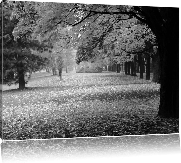 schöner Park im Herbst schwarz/weiss Format: 100x70 auf Leinwand, XXL riesige Bilder fertig gerahmt