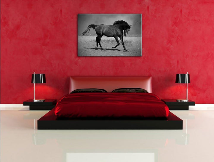 Edler schwarzer Hengst schwarz weiss Format: 100x70 auf Leinwand, XXL riesige Bilder fertig gerahmt