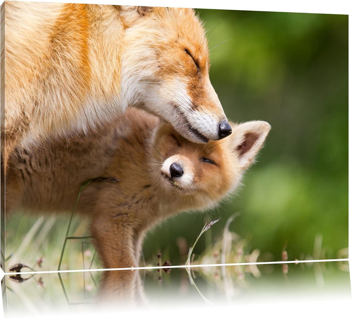 Kuschelnde Füchse Format: 100x70 auf Leinwand, XXL riesige Bilder fertig gerahmt mit Keilrahmen, Kun