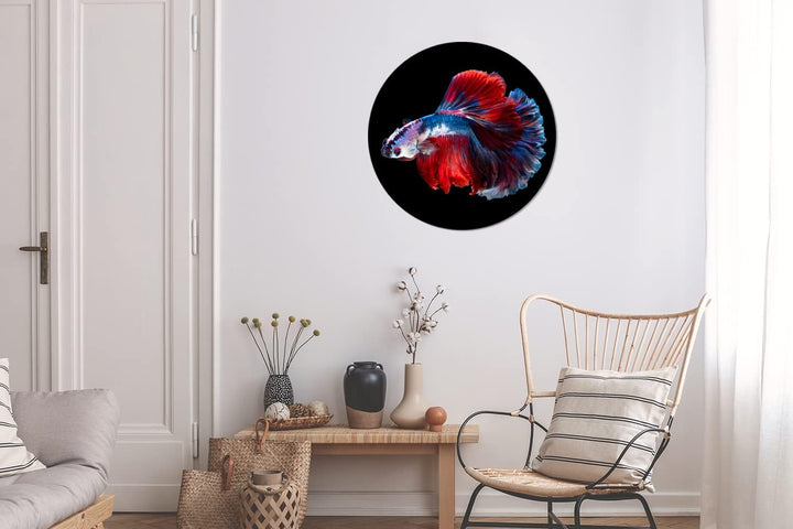 MuchoWow Wandbild Rund Wanddeko Deko Wohnzimmer Bilder 60x60 cm Fisch - Schwanz - Schwarz, 60x60 cm