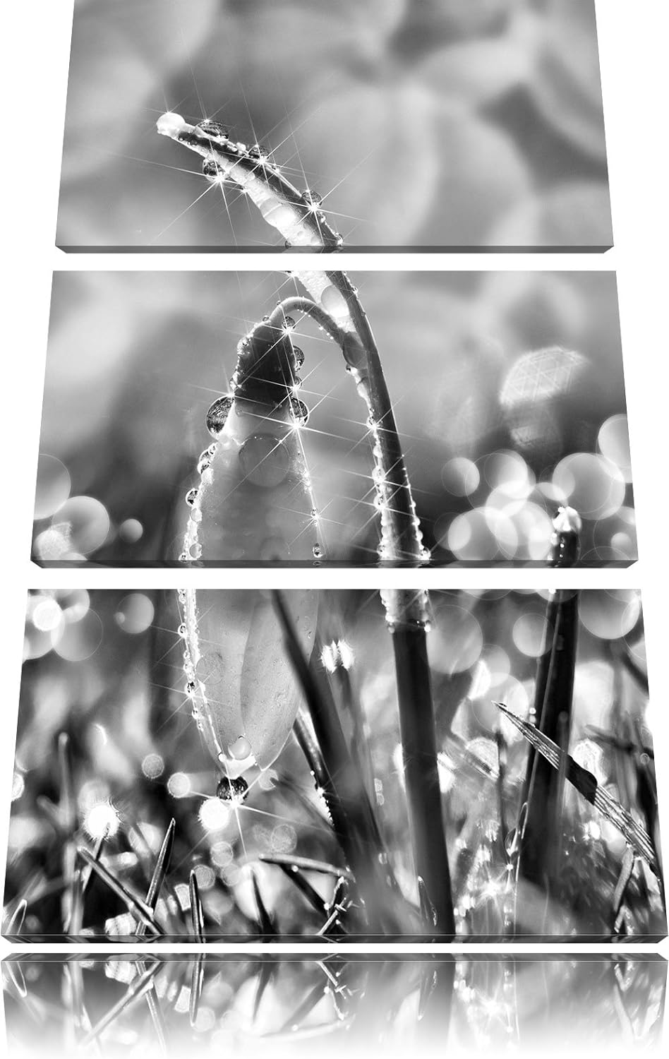 Pixxprint Schneeglöckchen auf Frühlingswiese als Leinwandbild/Grösse: 3 Teilig (120x80) cm/Wandbild/