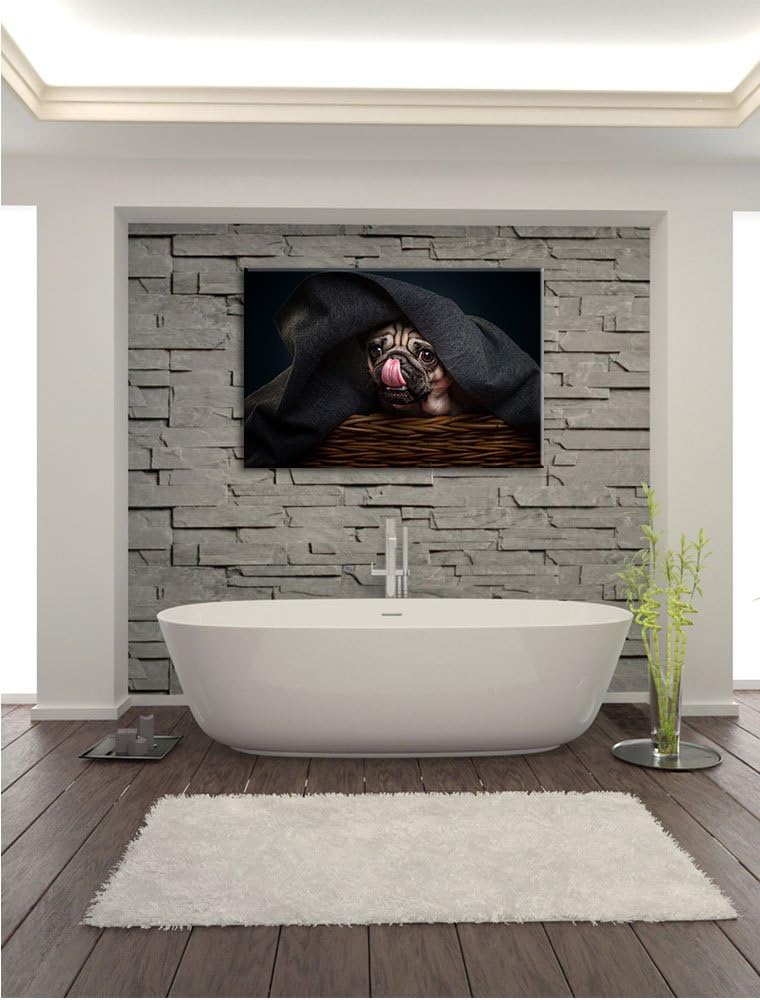 Pixxprint Süsser Mops unter der Decke, Format: 100x70 auf Leinwand, 100x70