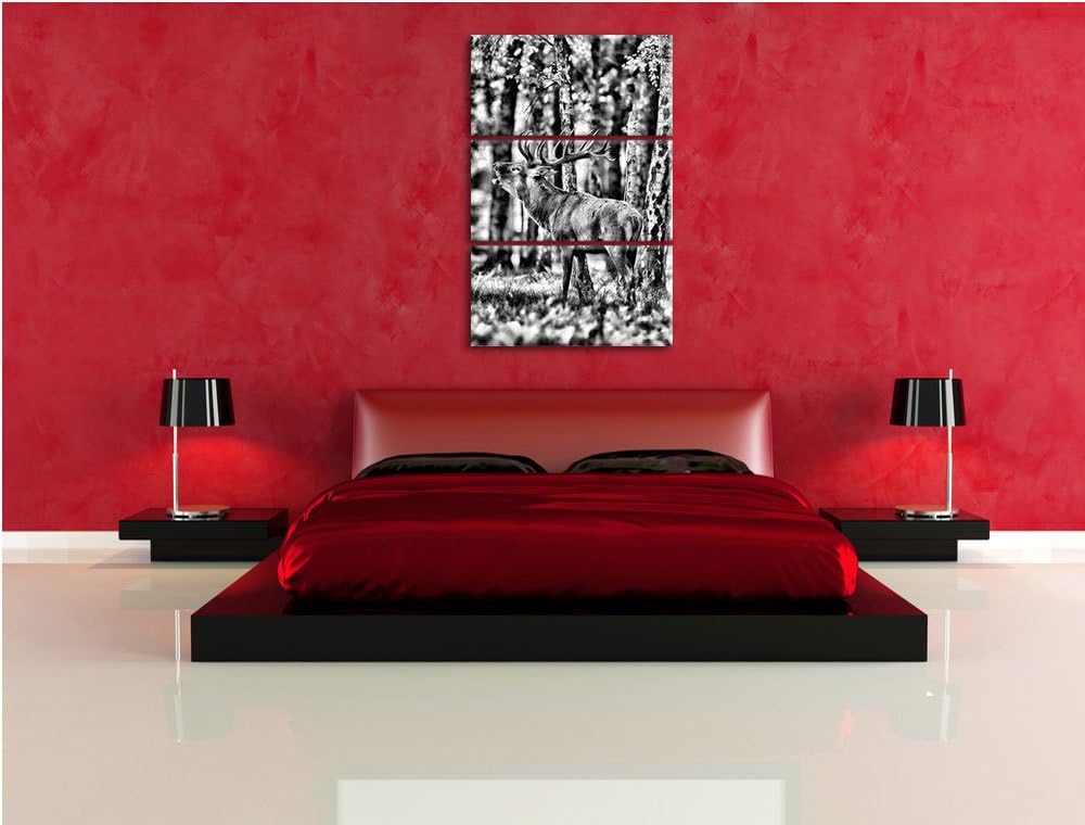 Pixxprint Hirsch im Wald als Leinwandbild | Grösse: 3 Teilig (120x80) | Wandbild| Kunstdruck | ferti