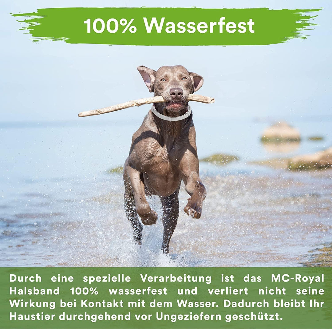 MC-Royal® Deluxe Zeckenhalsband für Hunde - 100% natürliche Inhaltsstoffe - bis zu 8 Monate zuverläs
