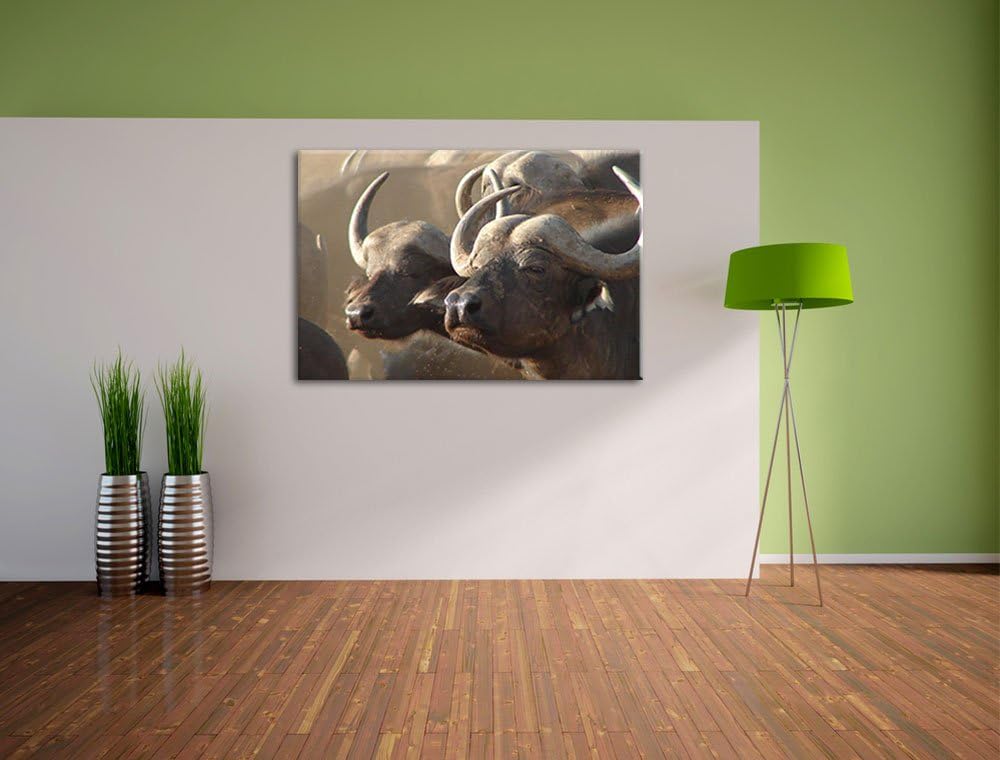 Zwei gemütliche Wasserbüffel Format: 100x70 auf Leinwand, XXL riesige Bilder fertig gerahmt mit Keil