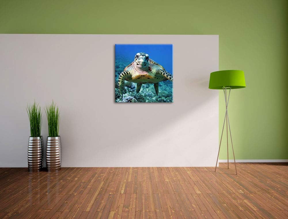 Pixxprint Schildkröte über Korallenriff, Format: 70x70 auf Leinwand, 70x70