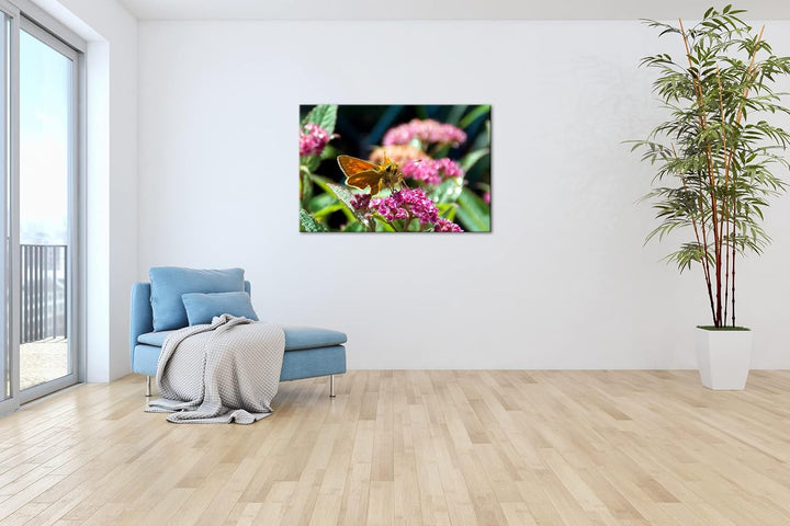 deyoli schöner Falter auf violetter Blume im Format: 80x60 als Leinwandbild, Motiv fertig gerahmt au