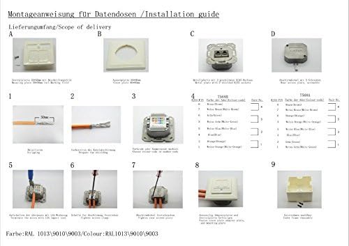 BIGtec 5 Stück Netzwerkdose CAT6 universal LAN Dose Kombidose Aufputz oder Unterputz Gigabit Netzwer