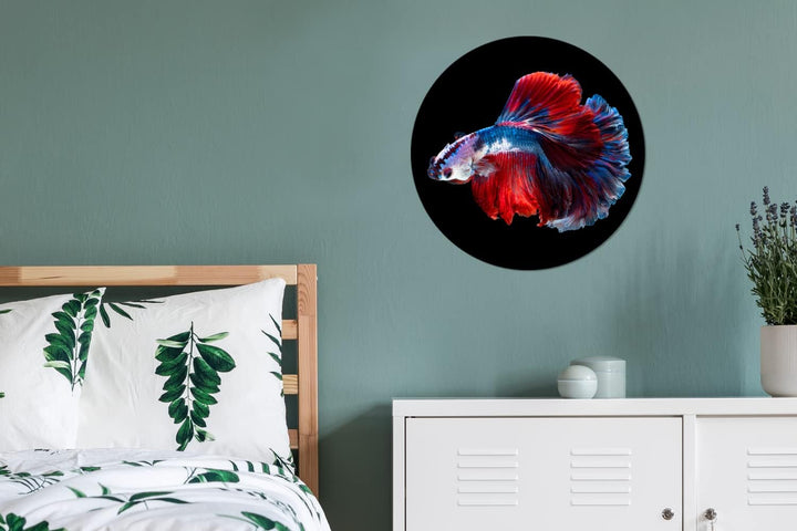 MuchoWow Wandbild Rund Wanddeko Deko Wohnzimmer Bilder 60x60 cm Fisch - Schwanz - Schwarz, 60x60 cm