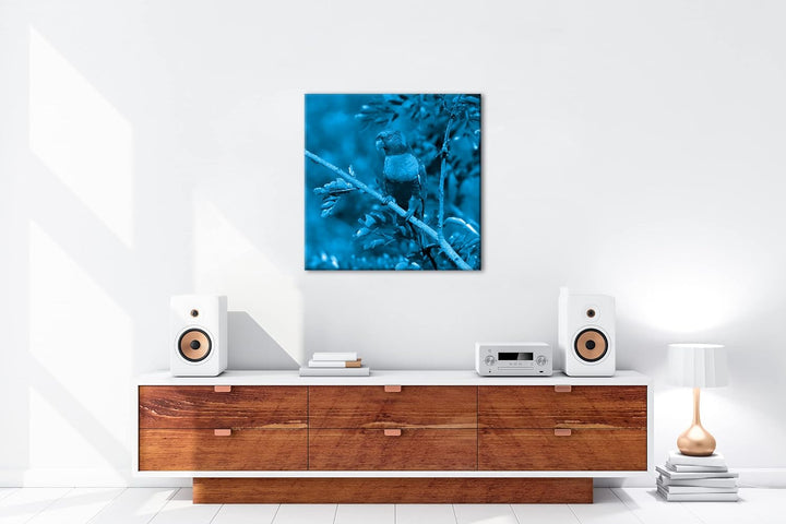 Allfarblori Papagei in der Natur Format: 40x40 Effekt: Monocrome Blau als Leinwandbild, Motiv fertig