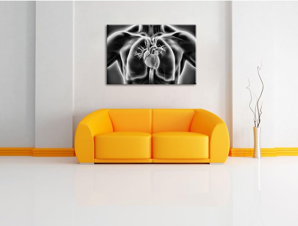 Pixxprint Herz des Menschen / 100x70cm Leinwandbild bespannt auf Holzrahmen/Wandbild Kunstdruck Deko
