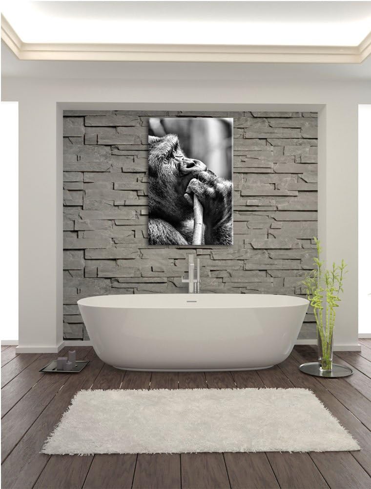 Monocrome, Gorilla isst, Format: 100x70 auf Leinwand, XXL riesige Bilder fertig gerahmt mit Keilrahm
