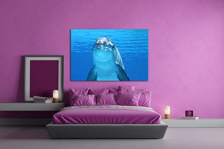 deyoli entzückender Delphin Format: 80x60 als Leinwandbild, Motiv fertig gerahmt auf Echtholzrahmen,