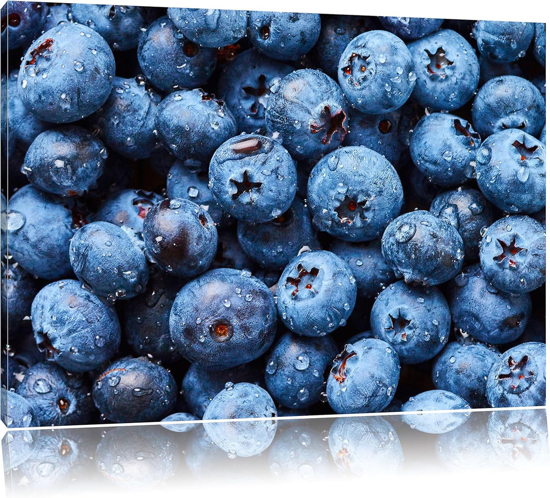 Pixxprint Blaubeeren mit Wassertropfen / 100x70cm Leinwandbild bespannt auf Holzrahmen/Wandbild Kuns