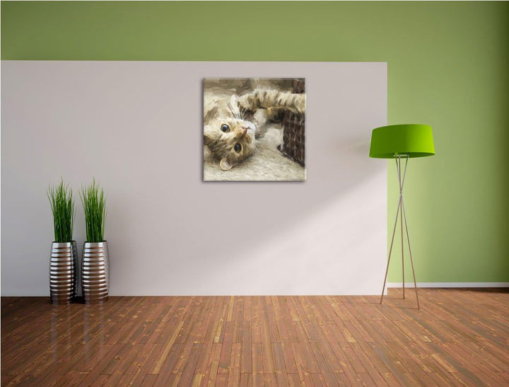Pixxprint Katze streckt Sich als Leinwandbild Quadratisch/Grösse: 70x70 / Wandbild/Kunstdruck/fertig