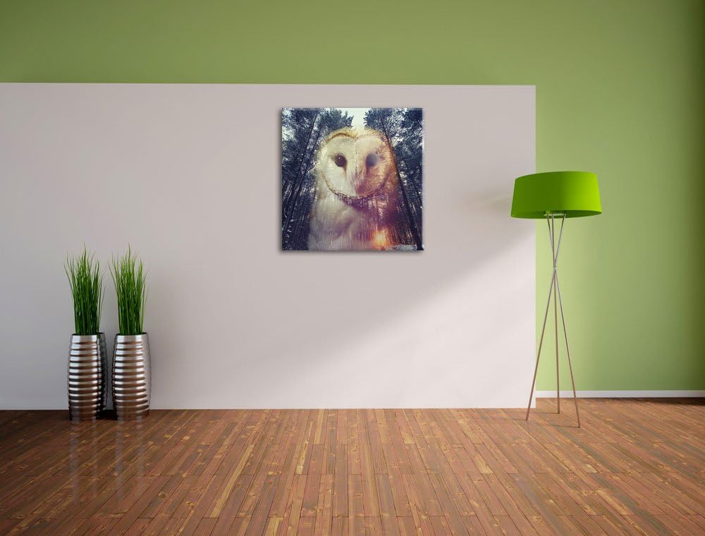 Pixxprint Portrait Einer Eule als Zeichen des Waldes, Format: 70x70 auf Leinwand, 70x70