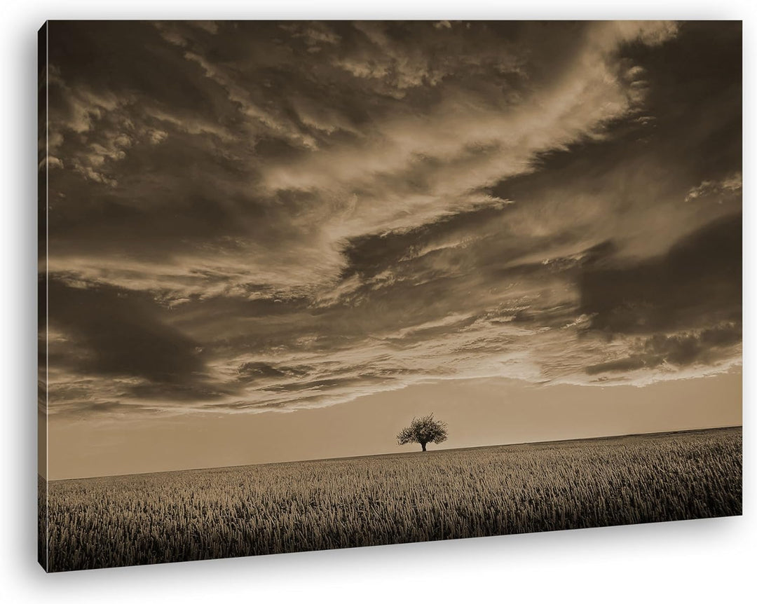 deyoli EIN einzelner Baum auf einem weitem Feld Format: 120x80 Effekt: Sepia als Leinwandbild, Motiv